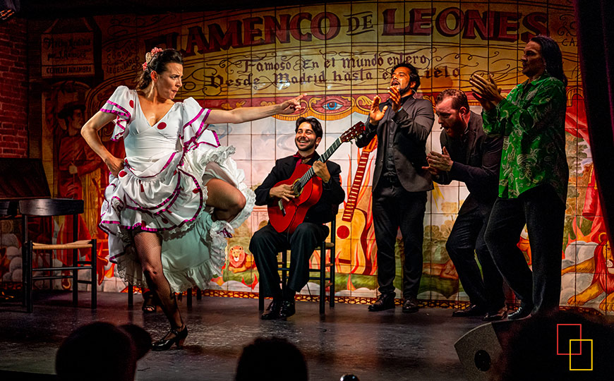 espectáculo en Flamenco de Leones