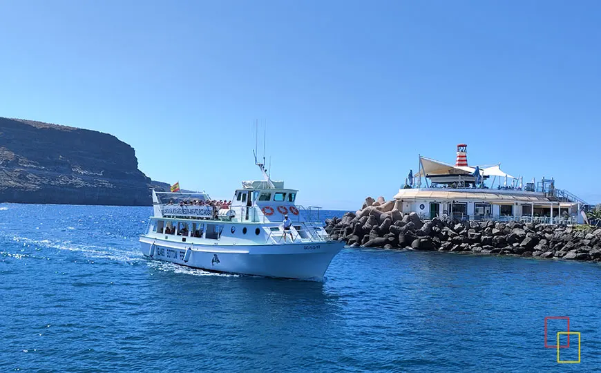 Avistamiento de delfines en Puerto de Mogán