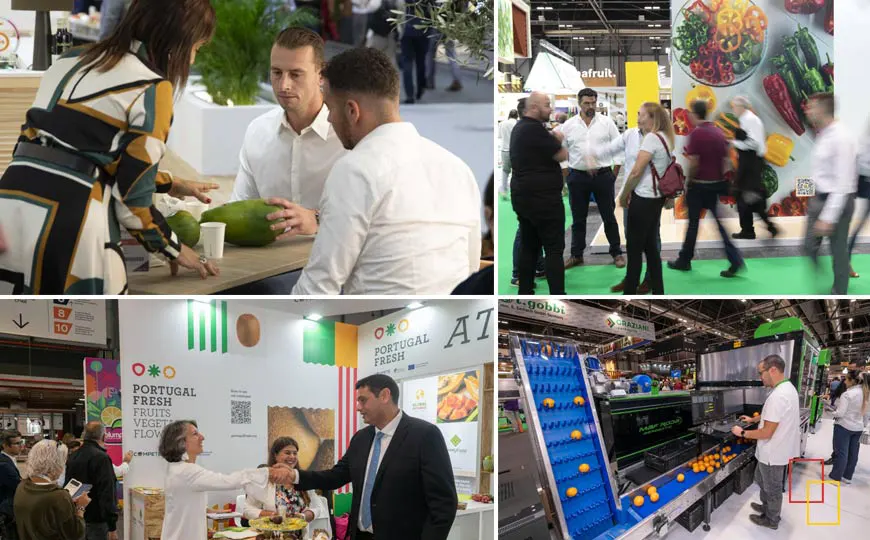 Innovación Hortícola en Fruit Attraction 2024