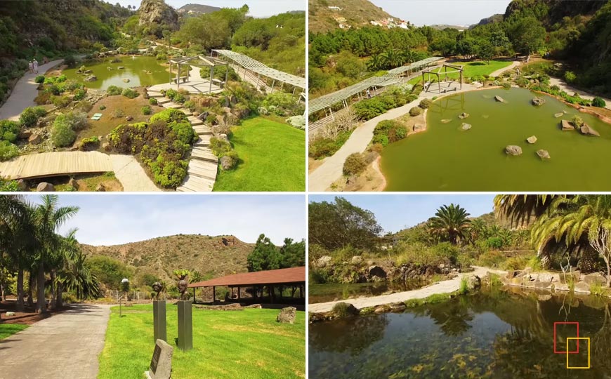 Jardín Botánico Viera y Clavijo, Las Palmas de Gran Canaria