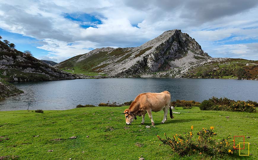 Visitar Los Lagos De Covadonga Un Paraíso Natural En Los Picos De