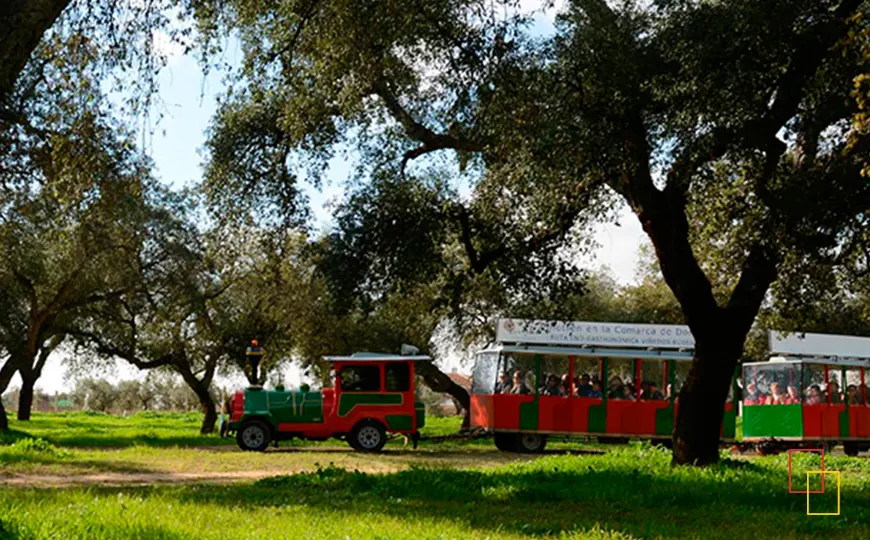 Bodegas Andrade: Tren del Vino