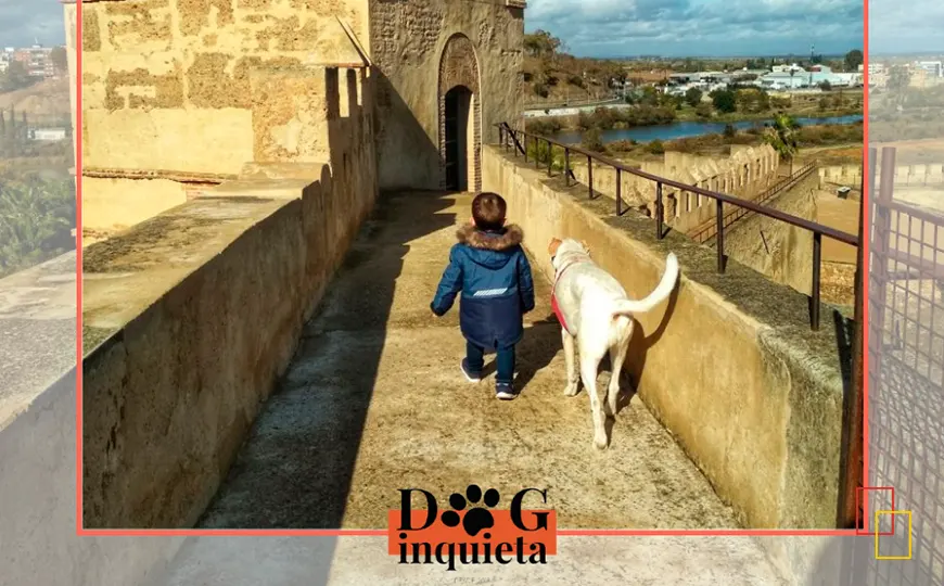 DogInquieta: Turismo petfriendly